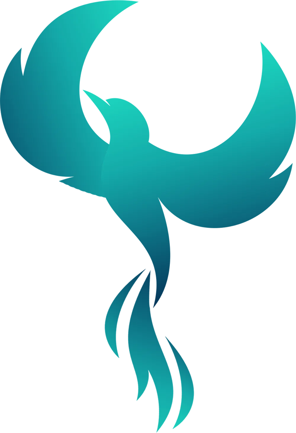 Erasmus ROCKET Student Virtual Exchange